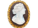 Une broche représente le profil d'une femme.