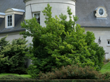 Photo 15/23 du lot