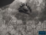 a black and white photo of a person ' s hand on a fence