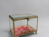 une boîte en verre contenant des fleurs, posée sur une surface blanche