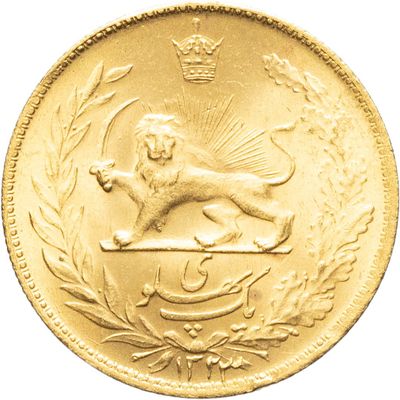 une image représentant une pièce d'or sur laquelle figure un lion