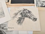 many pictures of a horse drawn on a piece of paper
