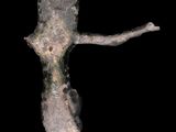an image of a statue of a woman with her arms outstretched