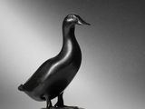 black and white photograph of a bronze duck on a marble base