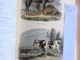 un livre ouvert sur lequel figurent les images d'un chameau et d'une vache