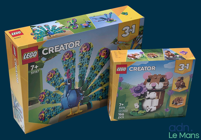On voit deux boîtes de Lego Creators dont le couvercle est ouvert.