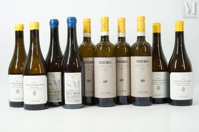six bouteilles de vin sont alignées sur une surface blanche