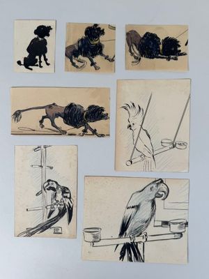 several drawings of birds and other animals are displayed on a wall