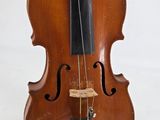 a close up of a violin on a white background