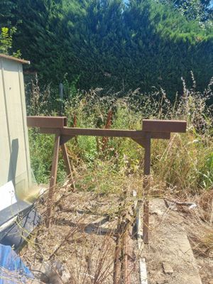 une petite remise au milieu d'un champ envahi par les mauvaises herbes