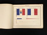 a book with a picture of the flag of france on it