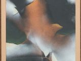 an image of a painting of a woman ' s torso with her hands on her hips