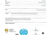 the certificate for the blue diamond is displayed on the white paper