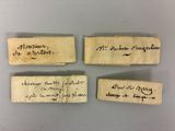 trois feuilles de papier couvertes d'écriture manuscrite, posées sur une table