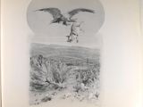 a black and white drawing of an eagle flying over a desert