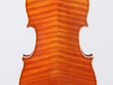 an old violin with a wooden back and a long neck