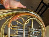 a person holding a brass french horn in their hand
