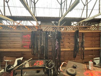 une pièce où de nombreux articles d'équitation sont suspendus au plafond