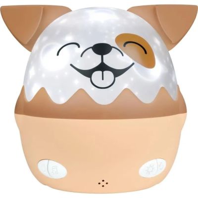 une image d'un adorable petit chien plus humide