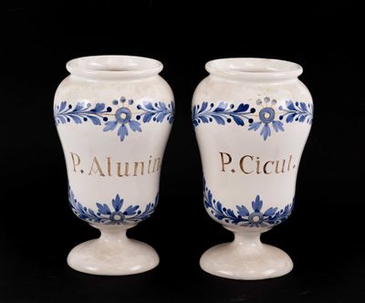 Paire de pots à pharmacie en faïence émaillée blanche à déco…