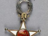 Gros plan sur une médaille portant une étoile