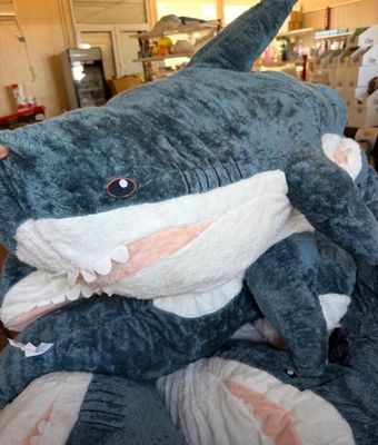un grand requin en peluche posé sur le dossier d'une chaise
