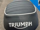 a close up of a motorcycle with a triumph logo on the seat
