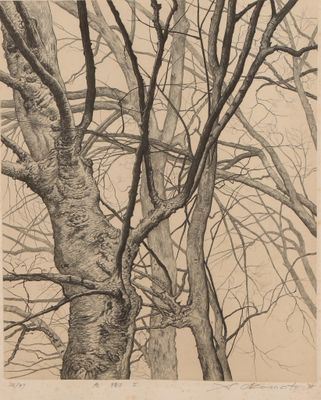 une image représentant un dessin d'un arbre sans feuilles