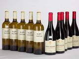 six bouteilles de vin sont alignées sur une surface blanche