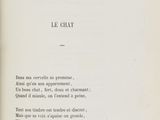 Photo 4/7 du lot