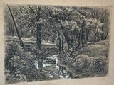 dessin représentant un ruisseau traversant une forêt, avec des arbres en arrière-plan