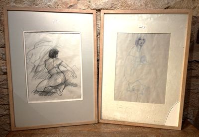 2 Dessins encadrés - Photo 1