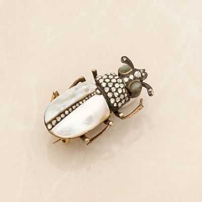 a beetle that is sitting on top of a table