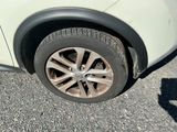 a cat sitting on the tire of a car