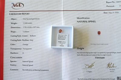une photo d'un certificat sur lequel figure une pierre rouge