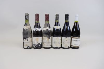 six bouteilles de vin sont alignées sur une surface blanche