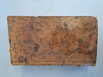 un morceau de rouille sur le mur