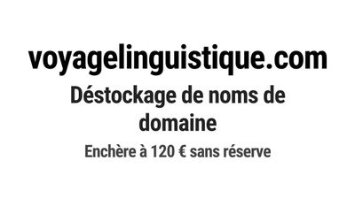 Nom de domaine voyagelinguistique.