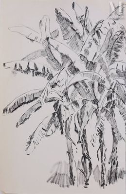 un dessin en noir et blanc représentant une plante dans un vase