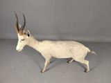 Photo 5/7 du lot