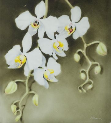 une photo d'un tableau représentant une fleur blanche accrochée au mur