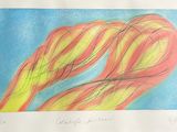 dessin représentant deux fleurs orange et jaunes avec un ciel bleu en arrière-plan