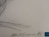 drawing of a bird sitting on top of a piece of paper