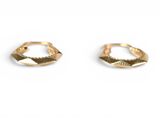 pair of gold plated earrings on a white background