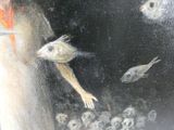 a painting of a woman and a cat in the dark