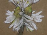 a picture of a painting of a white flower on a brown background