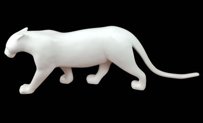 a white cat that is walking on a black background