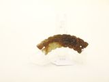 a piece of food that is sitting on top of a piece of paper