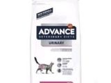 advance veterinary cat urina urina 2 kg