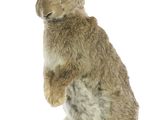 stuffed rabbit sitting on its hind legs on a wooden base